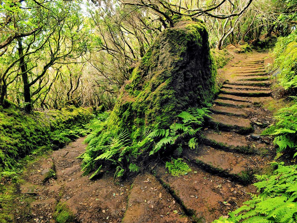 Casa Villa Tenerife Las Galletas Exteriör bild